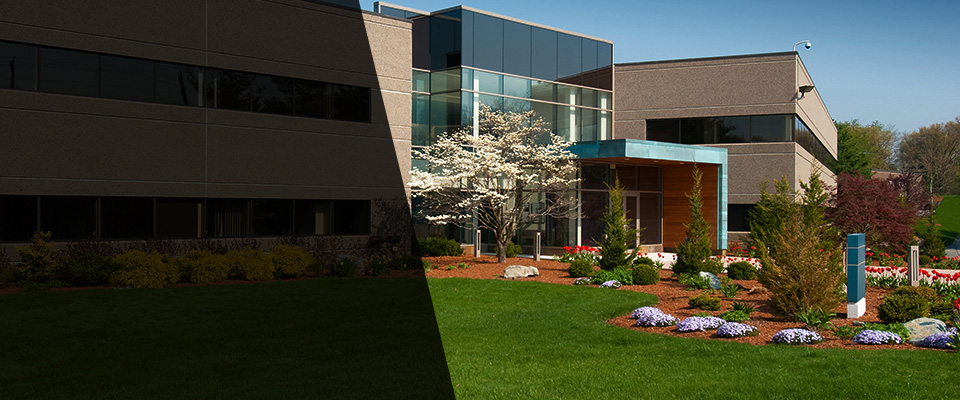 New Port Richey Landscapers