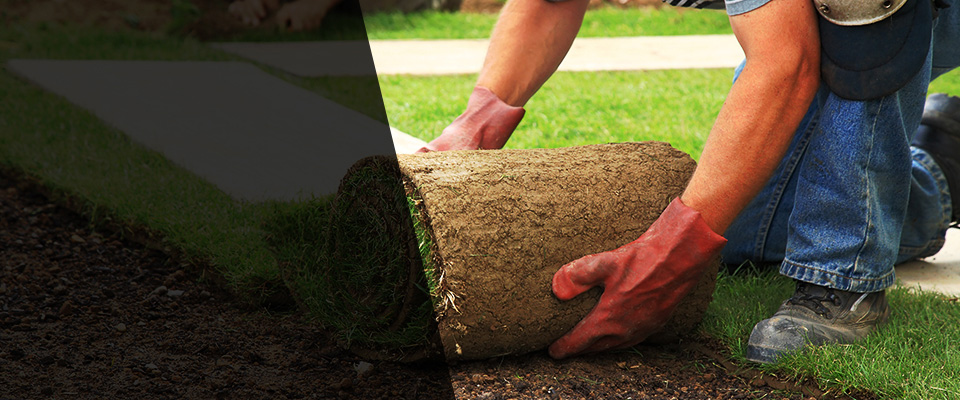 New Port Richey Landscapers